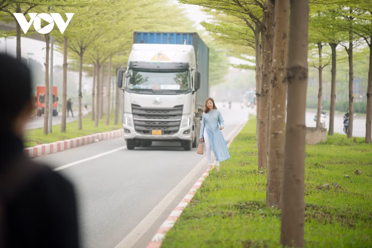 ... hoặc "thả dáng" đi "khéo léo" trên dải phân cách. Nếu không may trượt chân ngã ra đường thì không biết điều gì sẽ xảy ra khi tuyến đường này rất nhiều ô tô tải qua lại. 