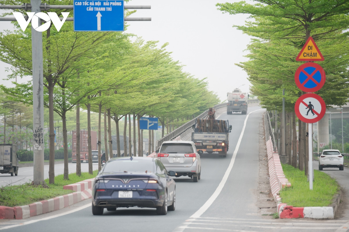 Trong khi đó, tuyến đường này có rất nhiều ô tô đi lại.