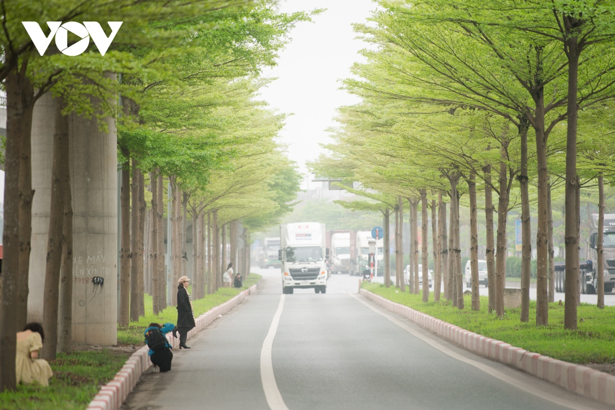 ... hay đứng tạo dáng và chụp ảnh dưới lòng đường. 