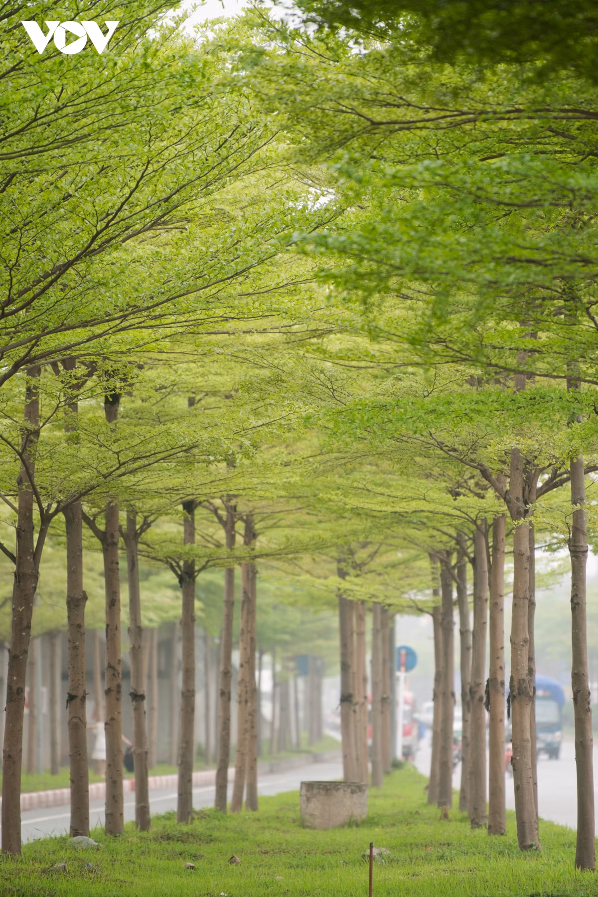 Mọi người cần nâng cao ý thức, không nên chỉ vì những bức ảnh đẹp mà gây nguy hiểm cho chính bản thân mình.