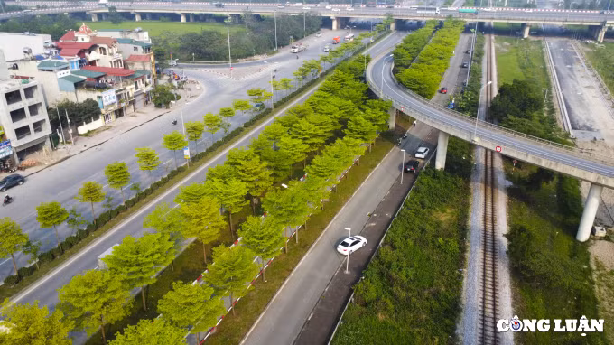 Trong tiết giao mùa tháng 3, hàng cây bàng lá nhỏ (bàng Đài Loan) tại nút giao Quốc lộ 5 lối lên Quốc lộ 1 đi Bắc Ninh - Bắc Giang chuyển từ màu vàng sang màu xanh non tạo nên khung cảnh mới lạ, lãng mạn như châu Âu.