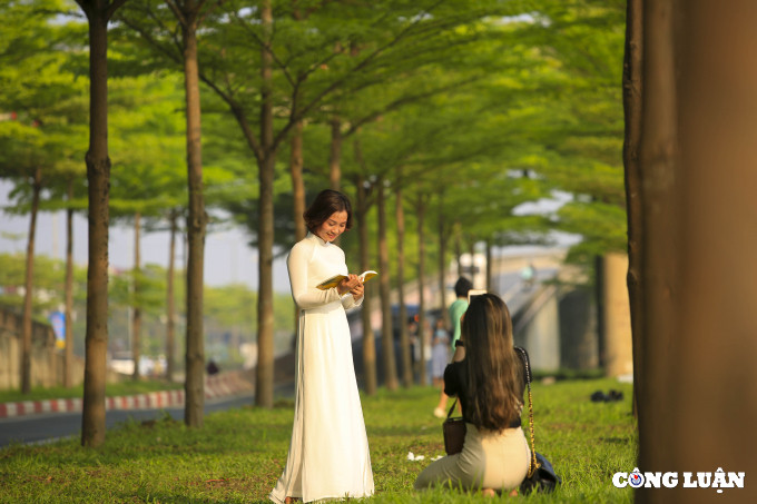 Bạn Nguyễn Vân (thị trấn Trâu Quỳ, huyện Gia Lâm, Hà Nội) chia sẻ: “Khi biết được trên tuyến đường này có hàng cây bàng lá nhỏ đẹp như tranh, tôi đã tranh thủ cuối tuần đến đây để chụp ảnh. Đến đây tôi thấy khá hài lòng khi thời điểm lá đang đổi màu xanh mướt và đã chụp được nhiều bức ảnh rất ưng ý.”