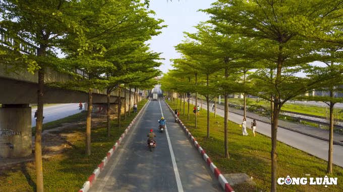 Hàng cây bàng Đài Loan tạo nên khung cảnh đẹp tựa như trời Âu đang gây “sốt” trên mạng xã hội những ngày qua. 