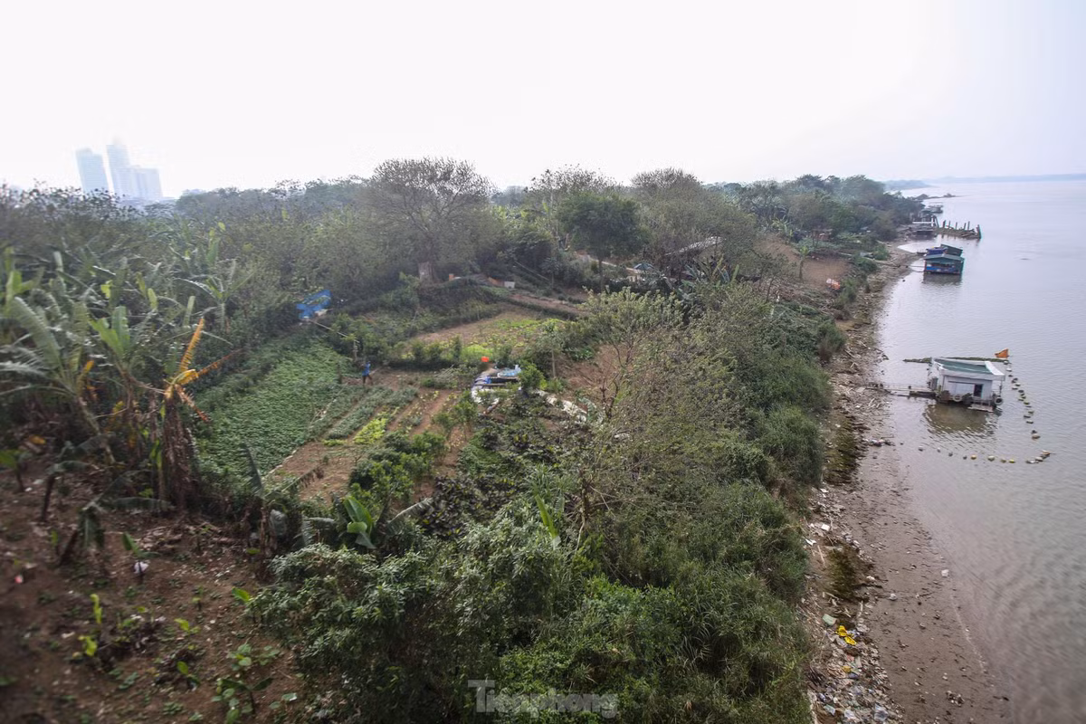 Can canh khu vuc bai giua song Hong du kien lam cong vien van hoa-Hinh-11