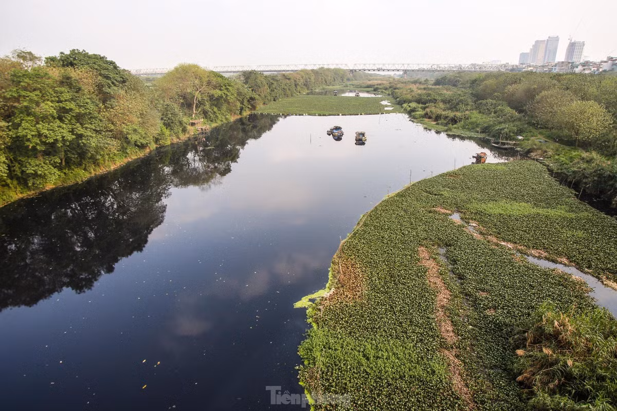 Can canh khu vuc bai giua song Hong du kien lam cong vien van hoa-Hinh-13