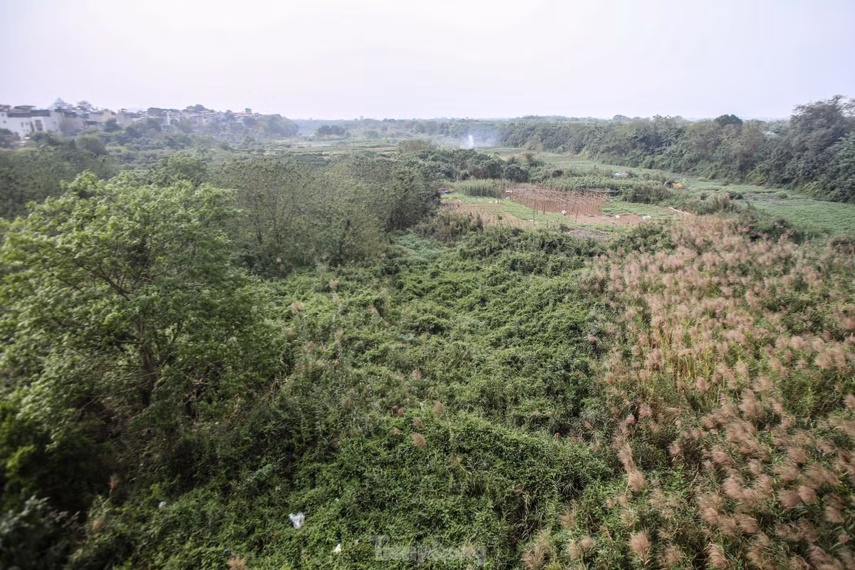 Can canh khu vuc bai giua song Hong du kien lam cong vien van hoa-Hinh-10