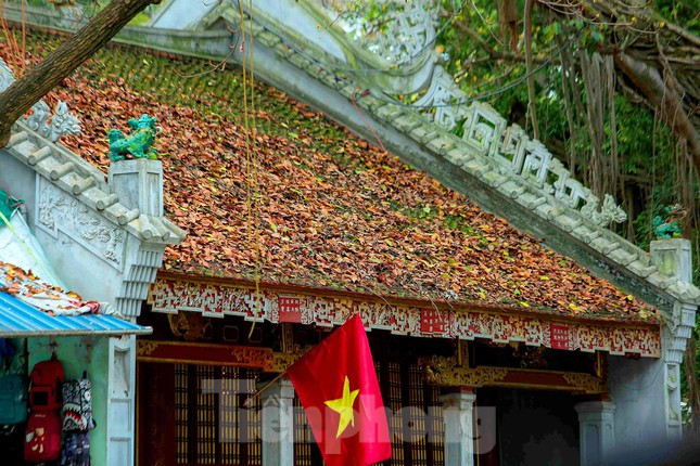 Hà Nội đẹp đến nao lòng mùa cây thay lá.