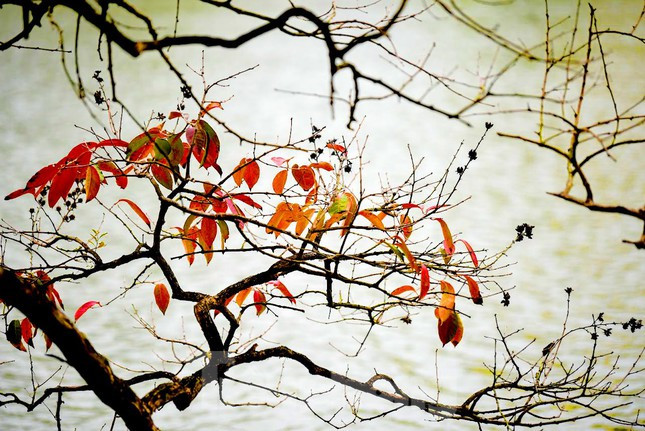 Vẻ đẹp thanh bình nơi Hồ Gươm ngày cuối tuần.