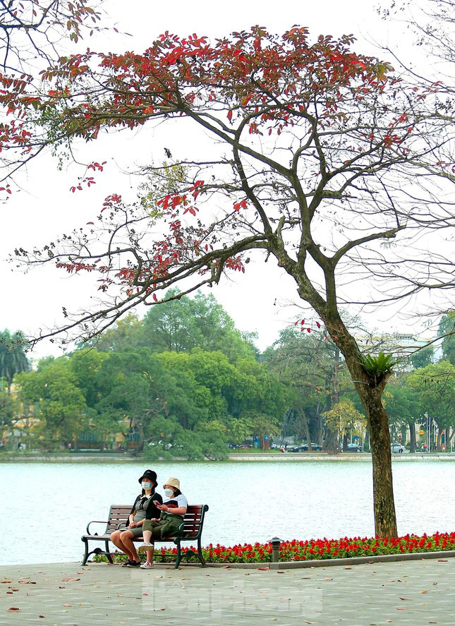 Mùa thay lá, đoạn đường ven Hồ Hoàn Kiếm với đa sắc màu thu hút du khách.