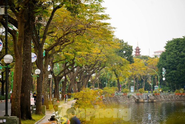 Vẻ đẹp của những sắc vàng, sắc đỏ, đâu đó lại tô điểm sắc xanh mới chớm tạo nên khung cảnh vô cùng lãng mạn.