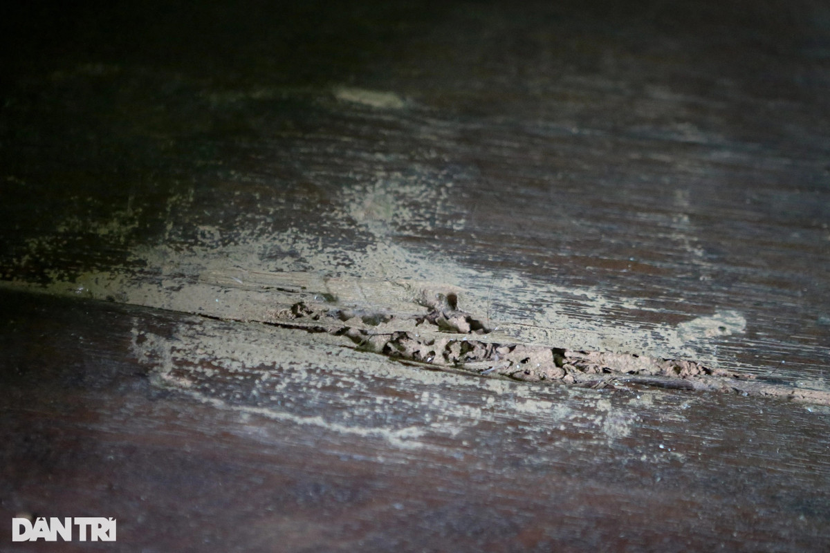 Ron nguoi canh dan song trong chung cu sap sap o TPHCM-Hinh-10