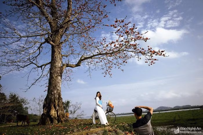 Vẻ đẹp của hoa gạo khiến bao người mê mẩn. Mỗi lúc đi qua những cung đường hoa gạo, không ít bạn trẻ phải dừng chân, tranh thủ lưu lại những khoảnh khắc đẹp nhất của tháng Ba. Ảnh: Sách Nguyễn 