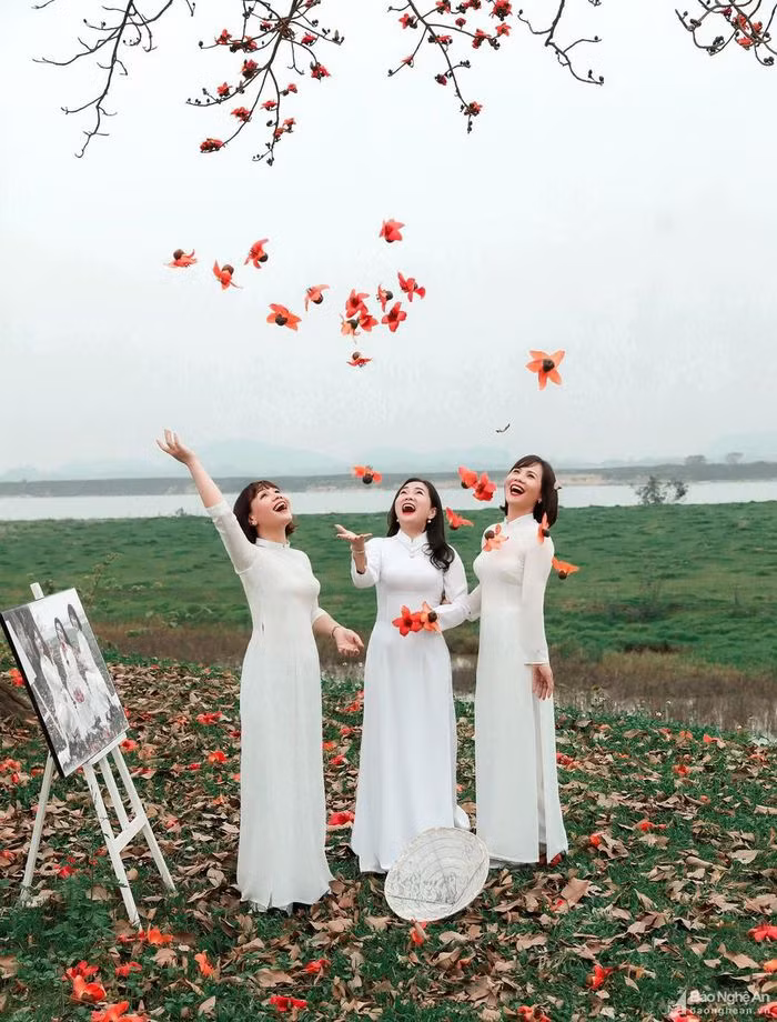 Mùa hoa gạo nở cũng là thời điểm các phó nháy, những người yêu hoa, những thiếu nữ với áo dài truyền thống... tìm đến những cây gạo để chụp ảnh. Ảnh: Thạch Giang 