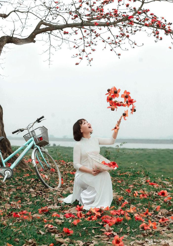 Màu hoa gạo đã vẽ lên bầu trời những không gian rực rỡ, điểm xuyết cho bãi sông những hình ảnh thân thương và gợi nhắc biết bao kỷ niệm: "Lũ trẻ chúng tôi nhặt hoa gạo rơi Xếp thành vòng tròn rồi nằm vào trong đó Giữa khoảng trời xanh có ngàn bông gạo đỏ Lung linh sắc màu nghe gió gọi mùa đi Cả tuổi thơ tôi lắng nghe gạo thầm thì Tôi yêu mộc miên rực đỏ trời quê mẹ..." (Phương Quỳnh) Ảnh: Thạch Giang