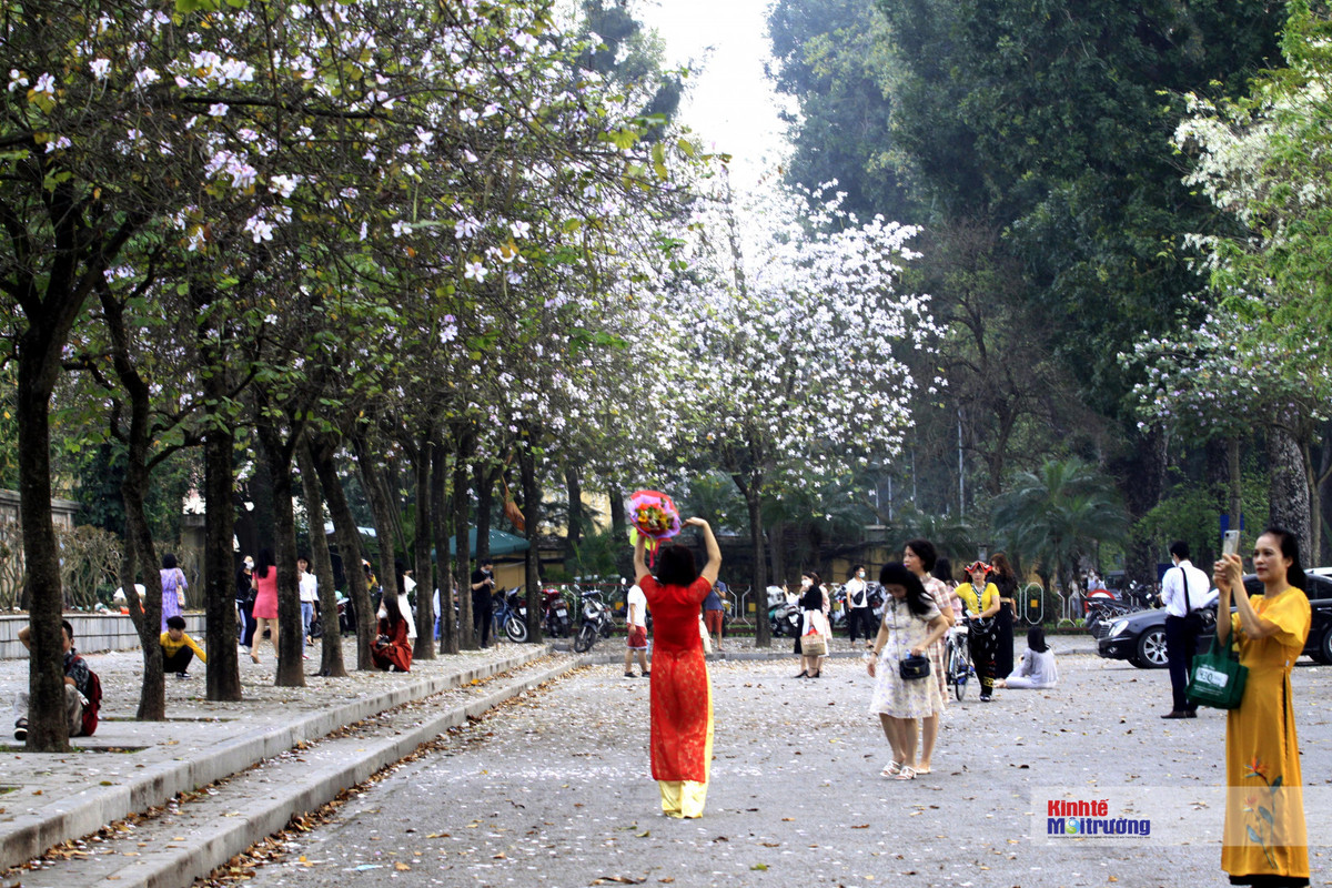Chi em dua nhau check-in tren con duong hoa ban dep nhat Ha Noi-Hinh-8