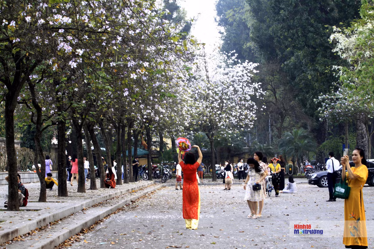 Chi em dua nhau check-in tren con duong hoa ban dep nhat Ha Noi-Hinh-8