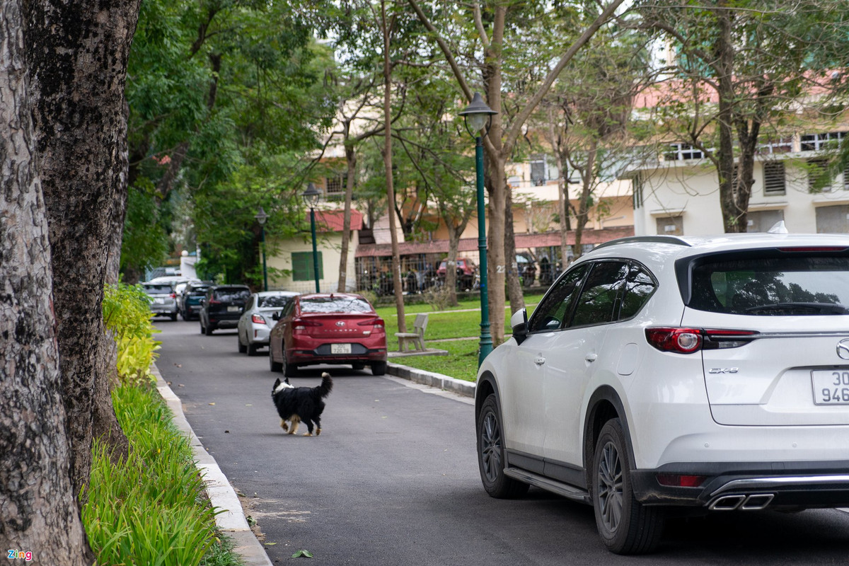 Bãi đỗ xe không được quy hoạch đồng bộ. Hình ảnh dàn ôtô chiếm dụng đường trong công viên làm bãi đỗ.