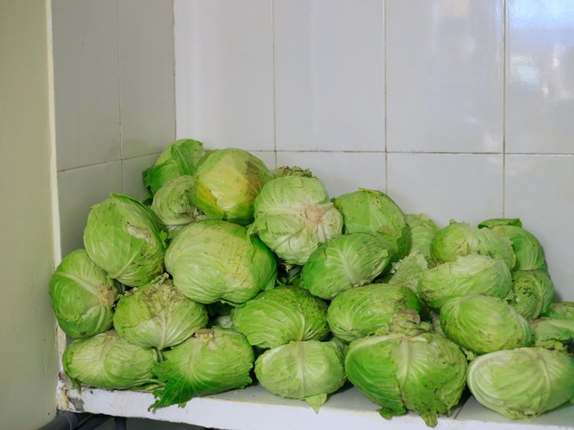 Thực phẩm, rau củ tại đây một phần là do các mạnh thường quân ủng hộ, chi phí phần còn lại để duy trì nhà ăn thì được chị Ngọc trích một phần doanh thu từ công ty mỹ phẩm của chị. Dự kiến trong năm 2022, tại Hà Nội sẽ có 5 quán chay 0 đồng được mở tại Hà Nội.