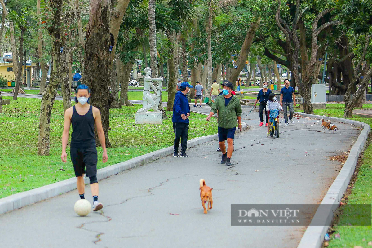 Một số con đường hư hại đến biến dạng. Đường lát gạch bị bung lên, gạch vỡ nằm rải rác trong khi nhiều đoạn đường nhựa lồi lõm, nứt toác.