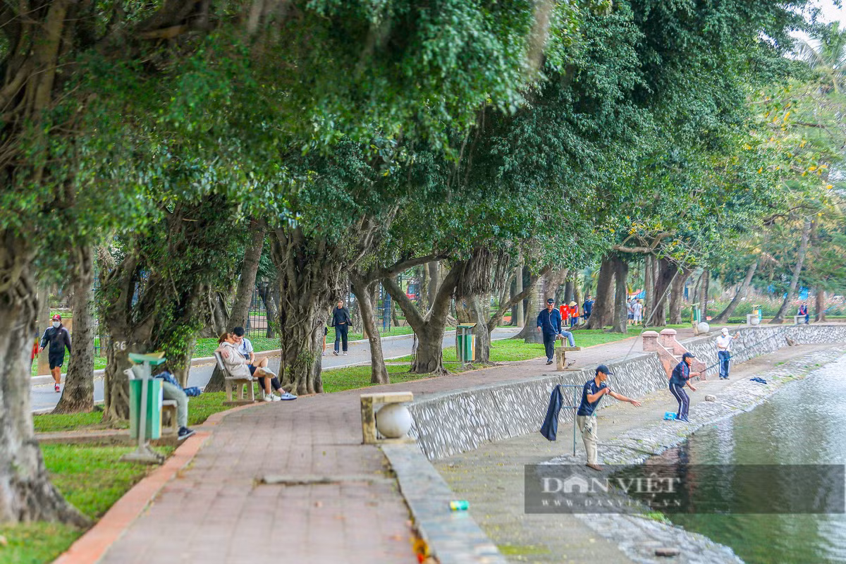 Chứng kiến cảnh công viên ngày càng xuống cấp, mọi người chỉ vào đây để đi bộ, tập thể dục chứ không thể vui chơi.