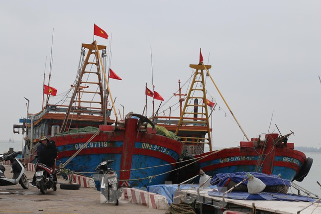 Ra khơi lỗ nặng, tàu thuyền lại nằm bờ la liệt - Hình 2 Ra khoi lo nang, tau thuyen lai nam bo la liet-Hinh-2