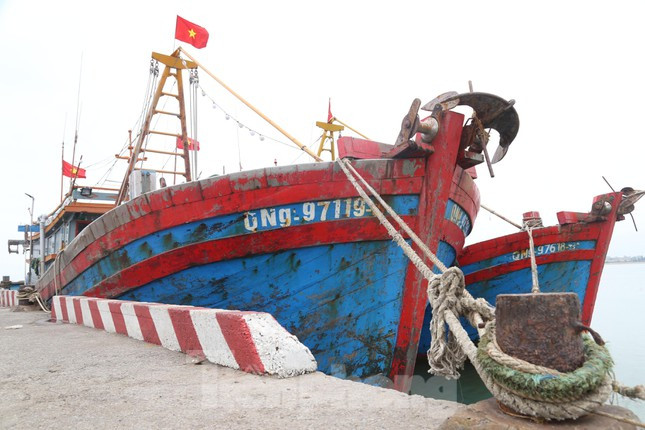Ra khơi lỗ nặng, tàu thuyền lại nằm bờ la liệt - Hình 3 Ra khoi lo nang, tau thuyen lai nam bo la liet-Hinh-3