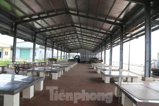 Ra khơi lỗ nặng, tàu thuyền lại nằm bờ la liệt - Hình 6 Ra khoi lo nang, tau thuyen lai nam bo la liet-Hinh-6