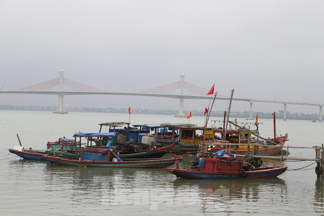 Ra khơi lỗ nặng, tàu thuyền lại nằm bờ la liệt - Hình 11 Ra khoi lo nang, tau thuyen lai nam bo la liet-Hinh-11