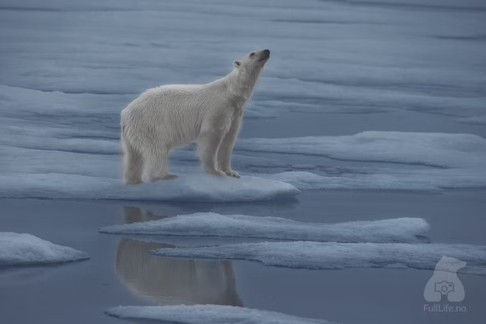 Lúc lại cô đơn ngước nhìn lên bầu trời.