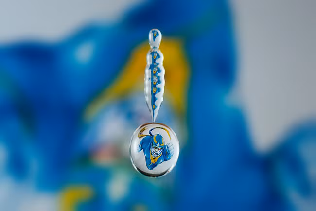 Thời gian tới, Reugels dự định sẽ tiếp tục làm việc từ quan điểm này. "Nó mang lại cho tôi rất nhiều niềm vui, giúp tôi bật mí những khía cạnh lớn hơn của cuộc sống thông qua đối tượng rất nhỏ", nhiếp ảnh gia chia sẻ.