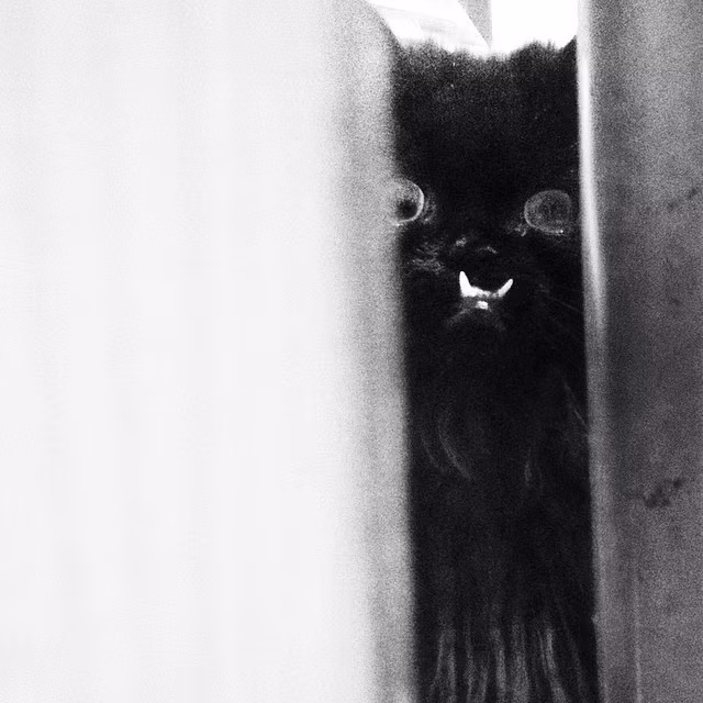 Nhưng cũng có khi cô nàng "nhát ma" mọi người bằng những bức ảnh đậm chất kinh dị như thế này.