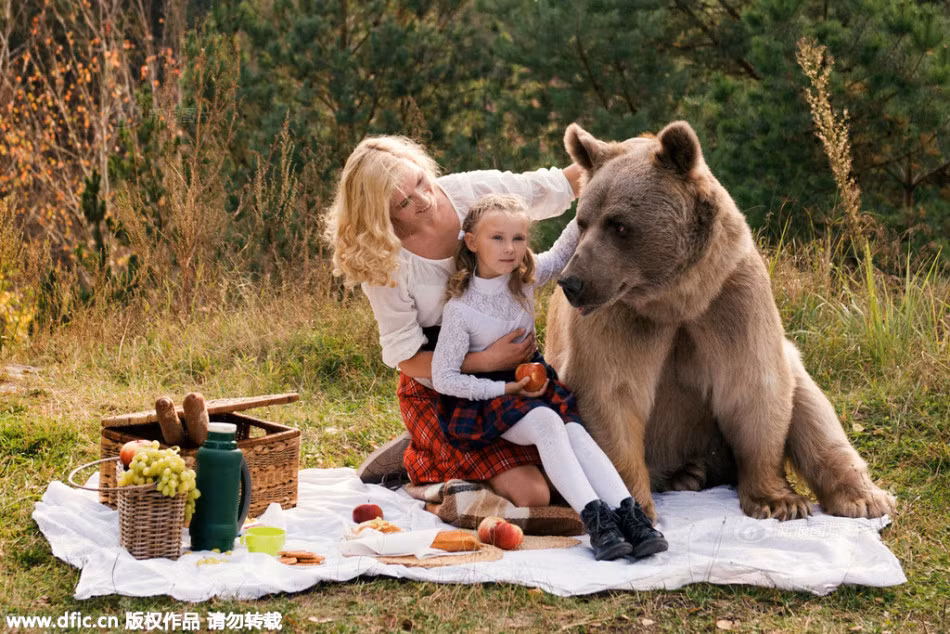Người mẫu Irina đã vô cùng lo lắng và hồi hộp với buổi chụp hình dã ngoại chan hòa thiên nhiên ở ngoại ô của Moscow, Nga. Sở dĩ cô hồi hộp bởi tham gia vào buổi chụp hình có sự xuất hiện của một con gấu nâu khổng lồ. Tuy nhiên, trái ngược với lo lắng của Irina, gấu nâu khổng lồ thân thiện khi dã ngoại, chụp ảnh.