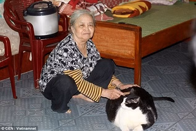 Sau khi thông tin về Miu được đăng tải đã gây ra sự xôn xao, nhiều người đặt ra câu hỏi có phải Miu là chú mèo béo nhất thế giới. Quả thực, nếu như cân nặng của Miu được khẳng định chính xác, Miu sẽ chính thức vượt qua đương kim vô địch là Elvis, chú mèo nặng 17,5kg, hiện đang là chú mèo béo nhất thế giới.