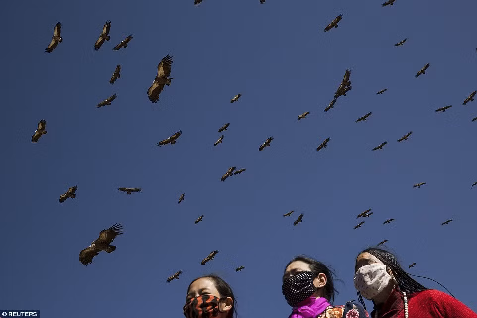 Những con kền kền bay rợp trời đến để rỉa xác chết.