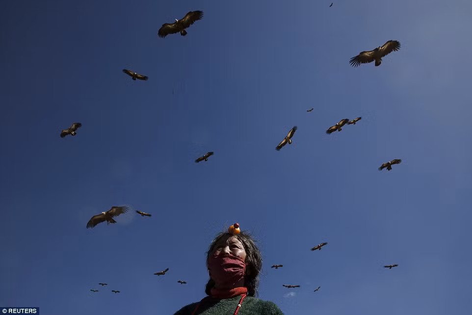 Ở Tây Tạng, có một phong tục được gọi là tục "Bầu trời mai táng". Theo đó, xác người chết sẽ bị cắt thành nhiều phần sau đó được phơi ra để dụ kền kền ăn thịt xác chết đến rỉa thịt.