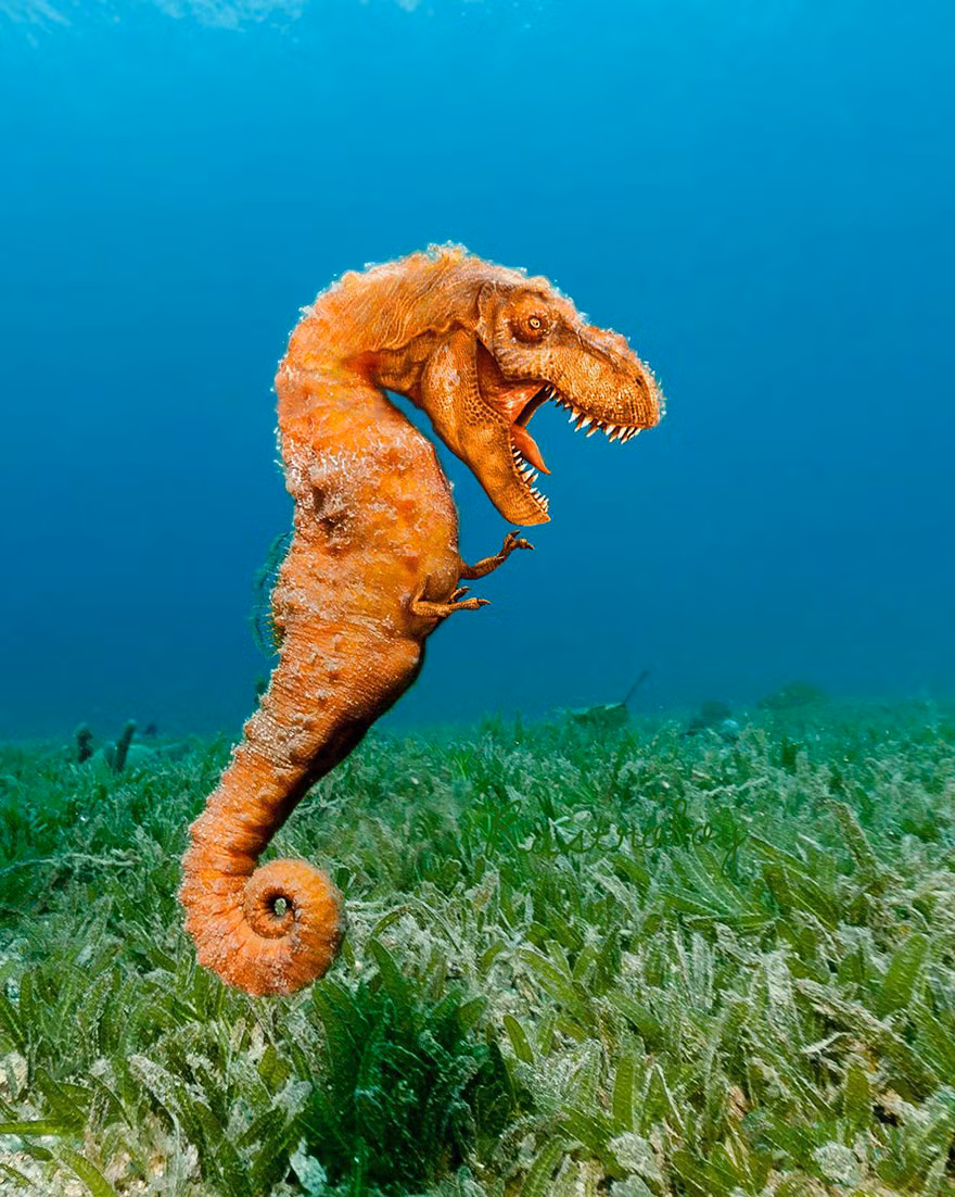 Sẽ thật đáng sợ khi đang lặn dưới biển và bất ngờ bạn gặp phải con quái vật lai mang tên "cá ngựa bạo chúa" này.