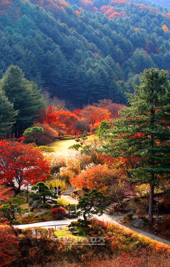 Ngam canh sac nen tho trong bo phim “Co nang xinh dep”