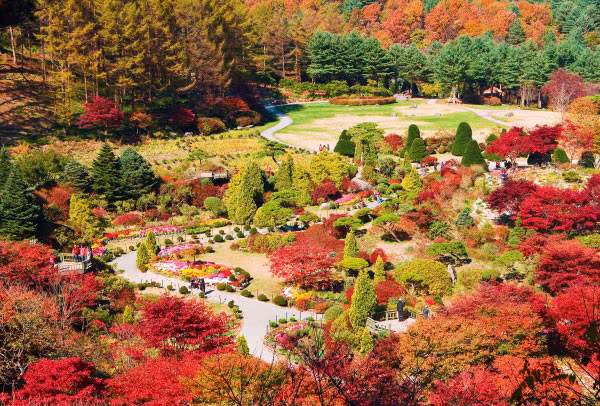 Ngam canh sac nen tho trong bo phim “Co nang xinh dep”-Hinh-5