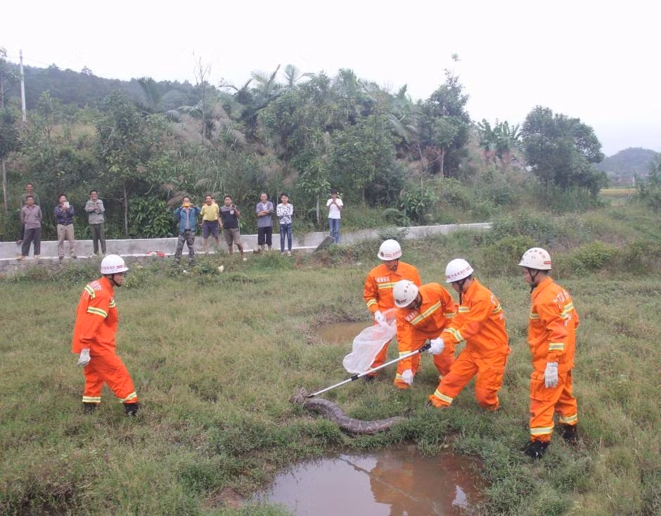 Tom gon tran khong lo dang 
