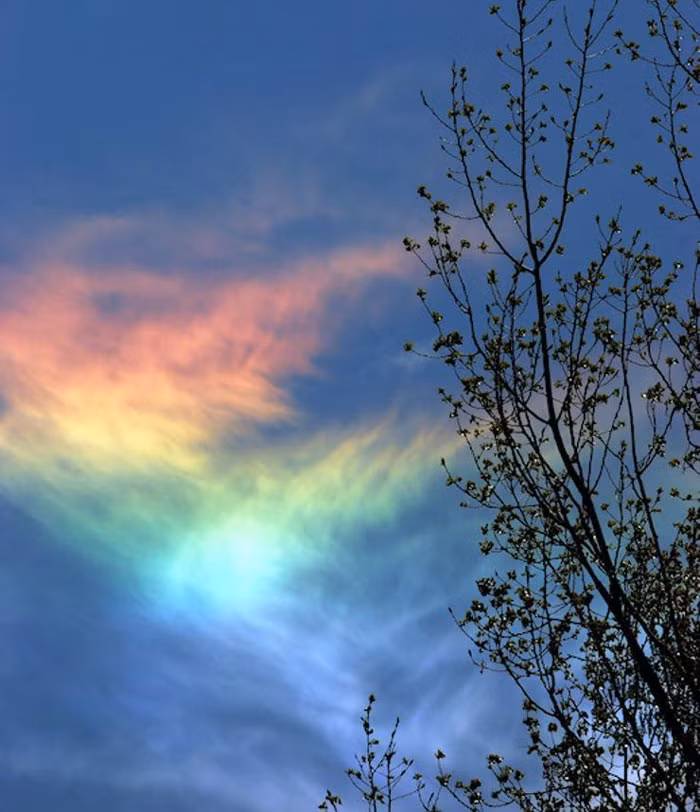 Tất nhiên, nó không hình thành như những cầu vồng như chúng ta thường thấy. Ánh sáng đi qua những tinh thể băng hình lục giác theo chiều thẳng đứng và đi qua mặt đáy nằm ngang gần nhất. Khi sắp xếp lại theo đường thẳng, nó làm cho toàn bộ đám mây ánh lên bảy sắc cầu vồng.