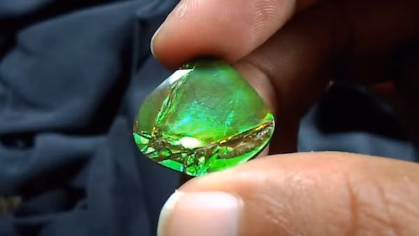 Đá Ammolite, một loại đá quý hiếm nhất thế giới.
