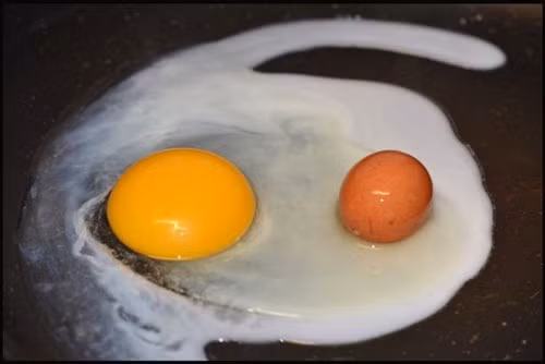 Kinh ngac phat hien “trung long trung” cuc hiem-Hinh-2