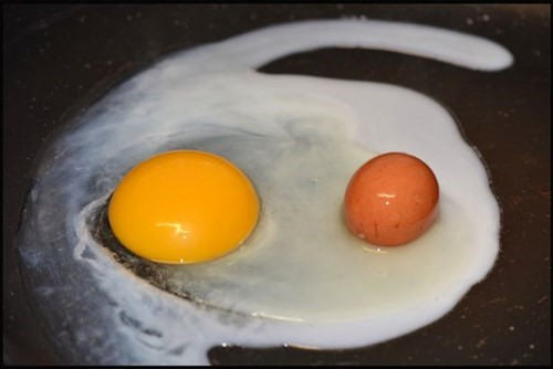 Kinh ngac phat hien “trung long trung” cuc hiem-Hinh-2