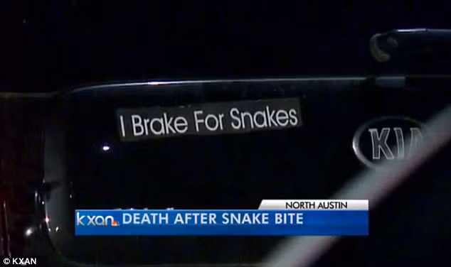 Được biết, con rắn hổ đất máu lạnh đã cắn chết chủ nhân của mình sẽ được làm đông lạnh và giữ làm bằng chứng trong cái chết của Grant.