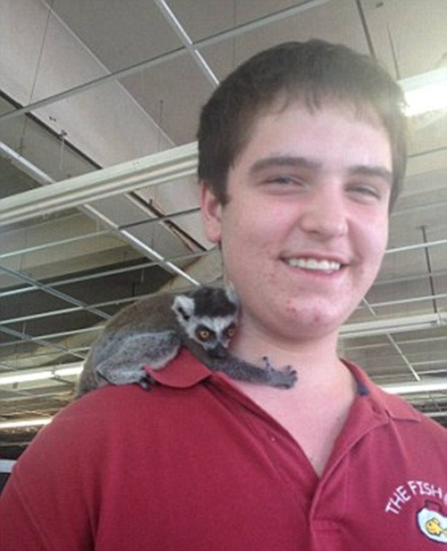 Mới đây, khi cảnh sát công bố kết luận cuối cùng về cái chết của Grant Thompson khiến nhiều người sửng sốt. Theo như kết luận của cảnh sát, Grant là người thuận tay phải trong khi những vết rắn cắn lại nằm ở tay trái, điều đó có nghĩa cậu hoàn toàn có thể dùng tay phải để ngăn cản, không cho con rắn độc tiếp tục cắn mình nhưng lại không làm vậy, thậm chí dấu hiệu chạy trốn hay kêu cứu cũng không có.