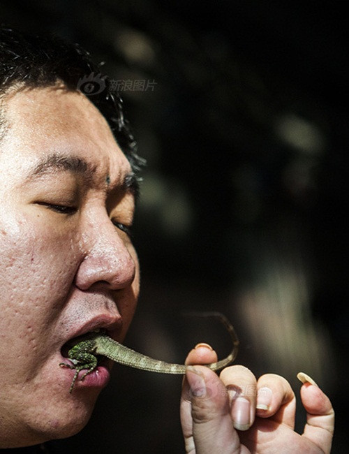 Gia Thạch biểu diễn một màn kinh dị khi ngậm một con thằn lằn sống trong mồm.