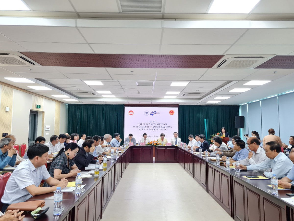 Tri thuc nguoi Viet Nam o nuoc ngoai – kho bau lo thien-Hinh-2