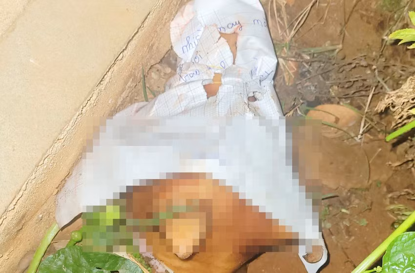 Hoi Nha bao tinh Gia Lai de nghi dieu tra vu phong vien bi de doa