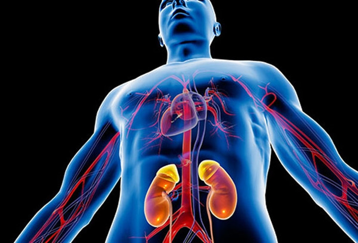 3. Bệnh thận: Bệnh thận có thể làm hạ nhiệt độ cơ thể và gây ra nhiều vấn đề khác trên cơ thể bạn. Bệnh thận cũng có liên quan đến thiếu máu, khiến bạn cảm thấy lạnh kể cả khi ở trong môi trường ấm áp.