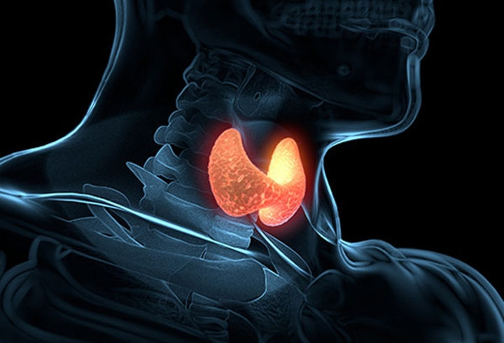 2. Suy tuyến giáp: Suy tuyến giáp là khi tuyến giáp ở cổ bạn không sản sinh đủ lượng hormone cần thiết. Căn bệnh này có thể khiến bạn cực kì nhạy cảm với nhiệt độ thấp. Bạn cũng có thể gặp các triệu chứng như đau khớp, táo bón, khô da và tăng cân.
